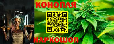 PSILOCYBIN Бугуруслан