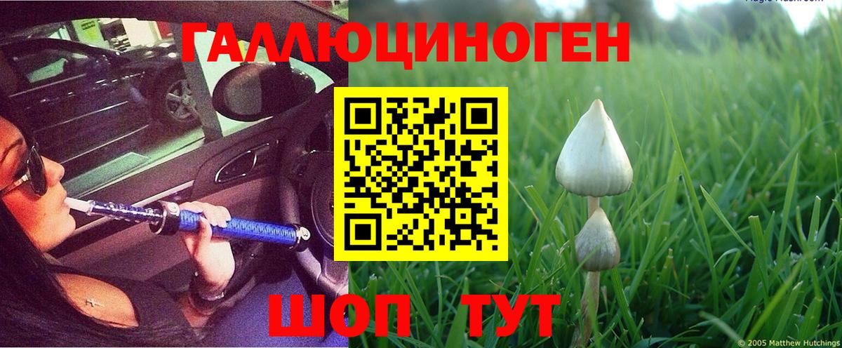Галлюциногенные грибы мицелий  Вход с VPN  Кушва 